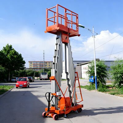 Dubbele Mast Aerial Work Lift Platform 250kg Laadvermogen 10m Hoogte